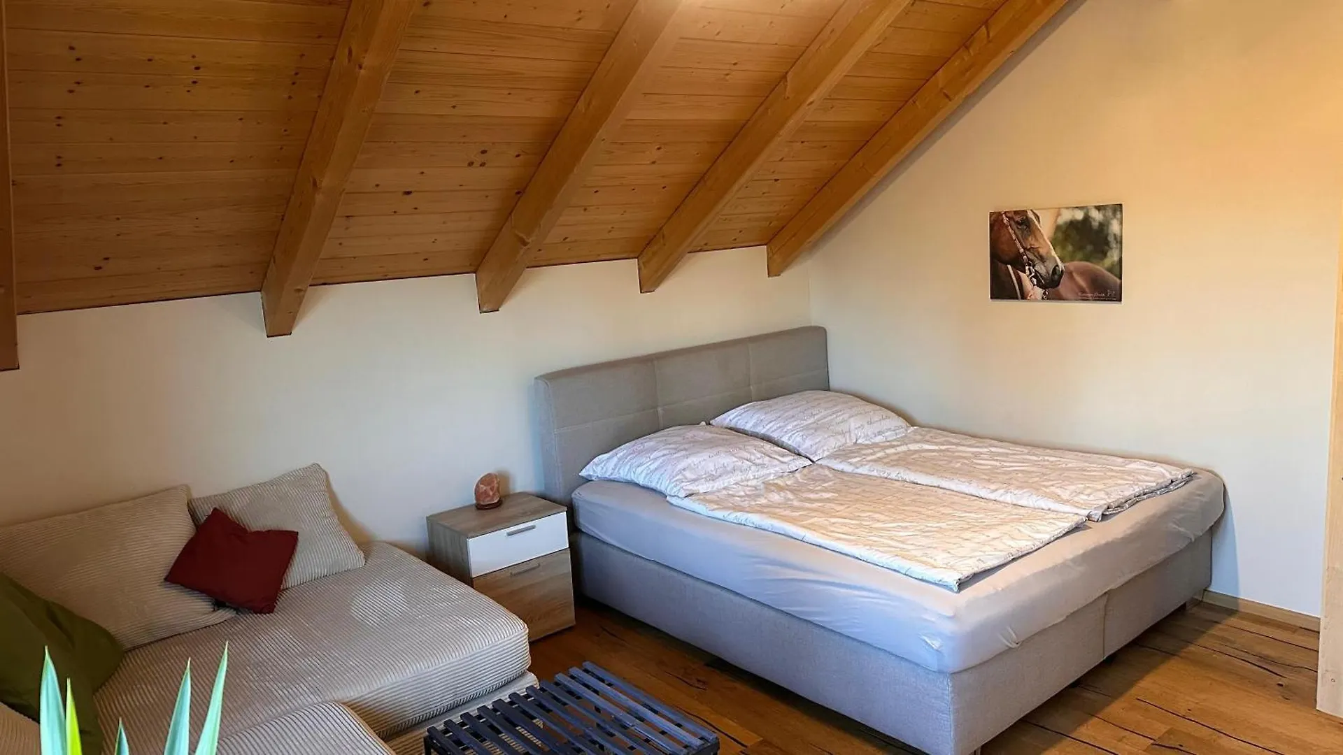 Ferienwohnung Mit Sonniger Dachterrasse Am Pferdehof Eichendorf 0*,  Deutschland